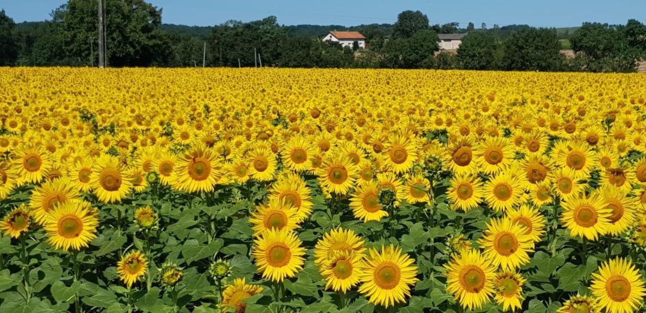 Bed and Breakfast Les Grands Bois Pomport Екстер'єр фото